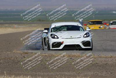 media/May-03-2024-PCA Central Coast (Fri) [[eaa7da0ee1]]/Red Group/Session 1 (Grapevine)/